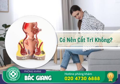 cắt trĩ ở đâu